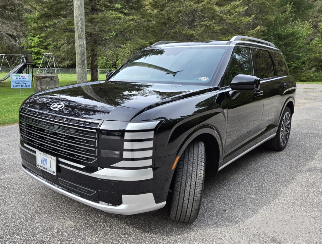 2026 Palisade Calligraphy